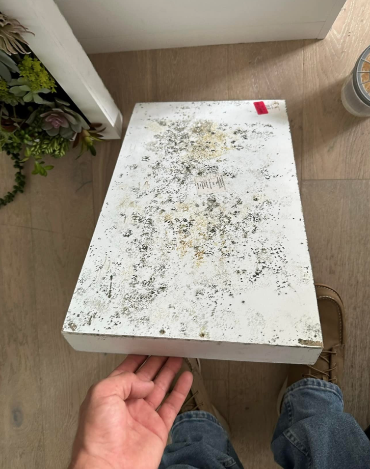 Moisture & Mold Learning Center