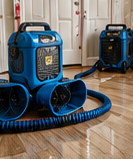 dehumedifier Structure Drying & Dehumidification
