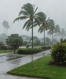 storm Storm & Hurricanes Damage Restoration