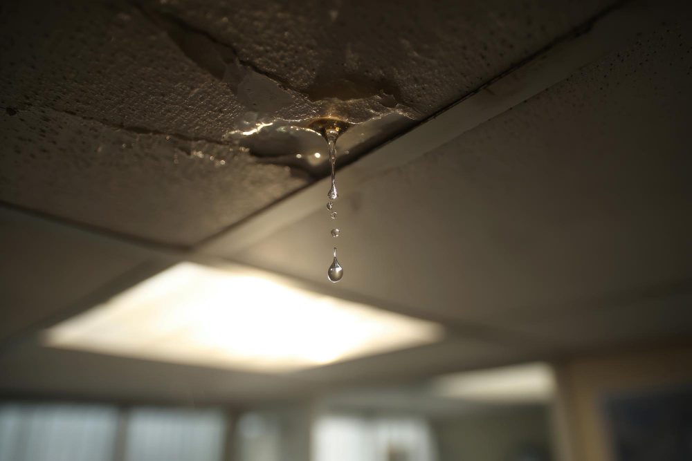 Water Is Coming Through My Ceiling