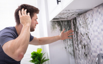 How Quickly Can Mold Grow After Water Damage in Florida?