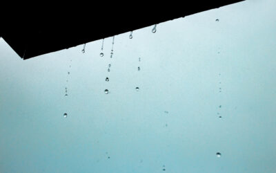 Does Homeowners Insurance Cover Water Damage From A Roof Leak In Florida?