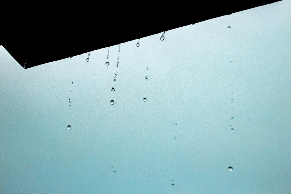 3416 Insurance Cover Water Damage